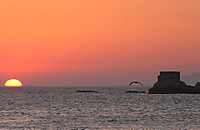 Atardecer114.jpg