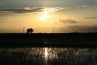 Atardecer_delta_del_Ebro_4.JPG