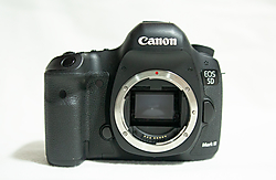 B4A24941.jpg