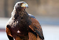 BP_076.jpg