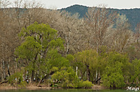 Banyoles_04.jpg