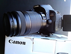 CAM00442.jpg