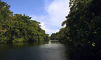 CANALES_DE_TORTUGUERO.jpg