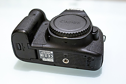 CF_2488.jpg