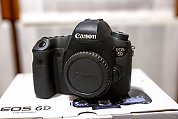 CF_2496.jpg