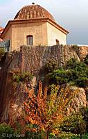 CRW_3125-jpgweb-3.jpg