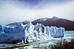 Calafate-83.jpg