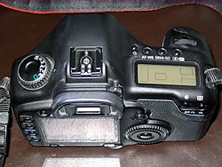 Canon5d31.jpg