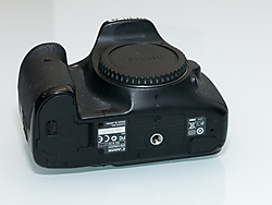 Canon_7D_00005.jpg