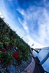 CentroSevilla_8_de_14_.jpg