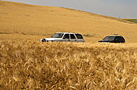 Coches_qdd_girasoles.jpg