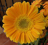 Copia_de_DSC04990.JPG