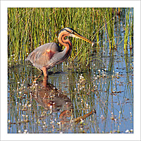 DPP07DB05080E0A02-copia.jpg