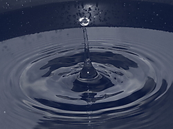 DPP_00136.JPG