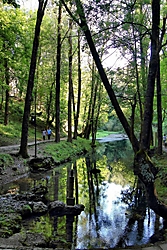 DPP_6622_1024x768_.jpg
