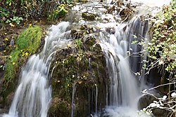 DPP_7467.jpg