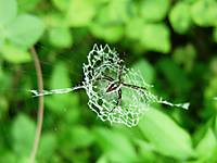 DSC00179_1024x768.JPG