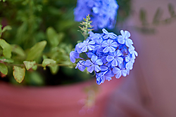 DSC00755-web.jpg