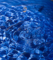 DSC04206157_mm01.jpg