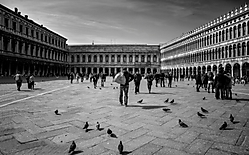 DSC0487_copia.jpg