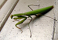 DSC054481.JPG