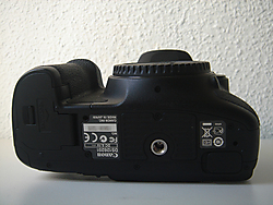 DSC073401.JPG