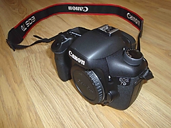DSC081011.jpg
