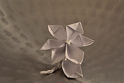 DSC1087_-_copia.JPG