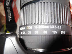 DSCF17181f.gif