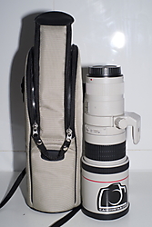 DSF1168.JPG