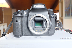 DSF6197.JPG