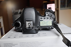 DSF6198.JPG