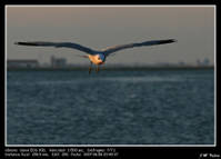 Delta_014.jpg