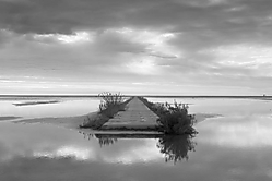 Delta_de_l_Ebre_novembre_2012-325.jpg