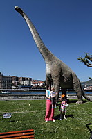 Dinosaurios6.JPG