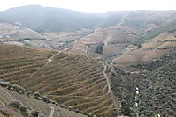 Douro_-_D_maria.jpg