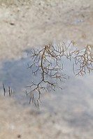 ENERO_2011_0298-1.jpg