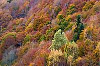 EV081025_7016.jpg