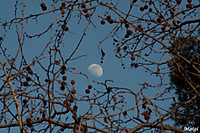 Ejercicio_51_Fotos_con_la_luna.jpg