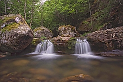 En_la_Sierra_Cebollera.jpg