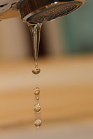 Evus_07_g14.jpg