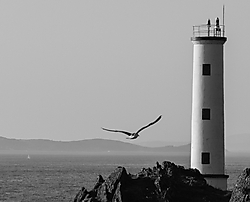 Faro_Cabo_Home_BN.jpg
