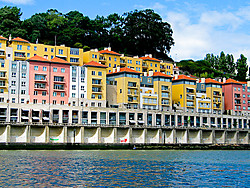 Foto-15.jpg