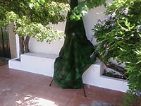 Foto0054.jpg