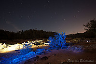 Fotog_Nocturna-41.jpg