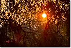 Frame_Boadilla_del_Monte_87_HDTV_720_.jpg