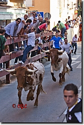 Frame_MG_9515_HDTV_720_.JPG