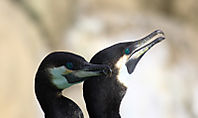 Francia---Espa_a_0432-OK1.jpg