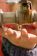 GOTA41.jpg