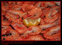 Gambas.jpg